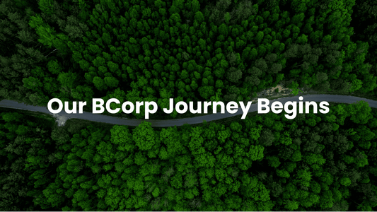 BCorp: The Journey Begins for Eco Green Living