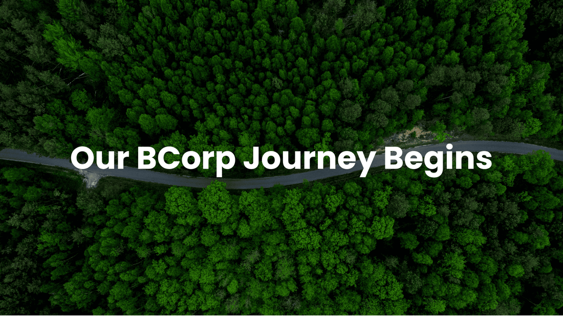 BCorp: The Journey Begins for Eco Green Living