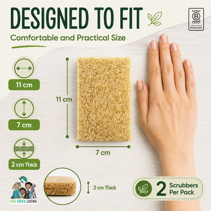 A pack of two natural beige scrubbers shown on a light wood background with size measurement graphics. The image includes a hand for scale, dimensions of 11 cm by 7 cm, a 2 cm thickness, and a 'Designed to Fit' headline.