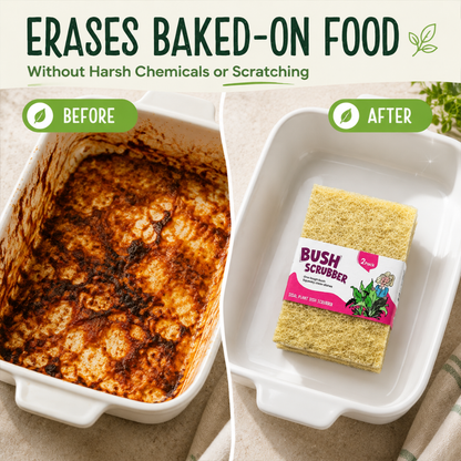 Before-and-after comparison showing a white ceramic baking dish with baked-on food residue on the left, and the same dish cleaned with a Bush Scrubber soap sponge on the right. Large text at the top reads 'ERASES BAKED-ON FOOD' with a green leaf icon.
