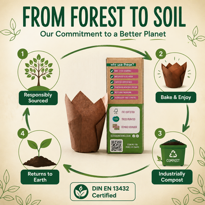 Promotional infographic for a brown paper seed starter pot and its packaging, with large text reading 'FROM FOREST TO SOIL' and five numbered eco-friendly benefit callouts around the product on a beige background.