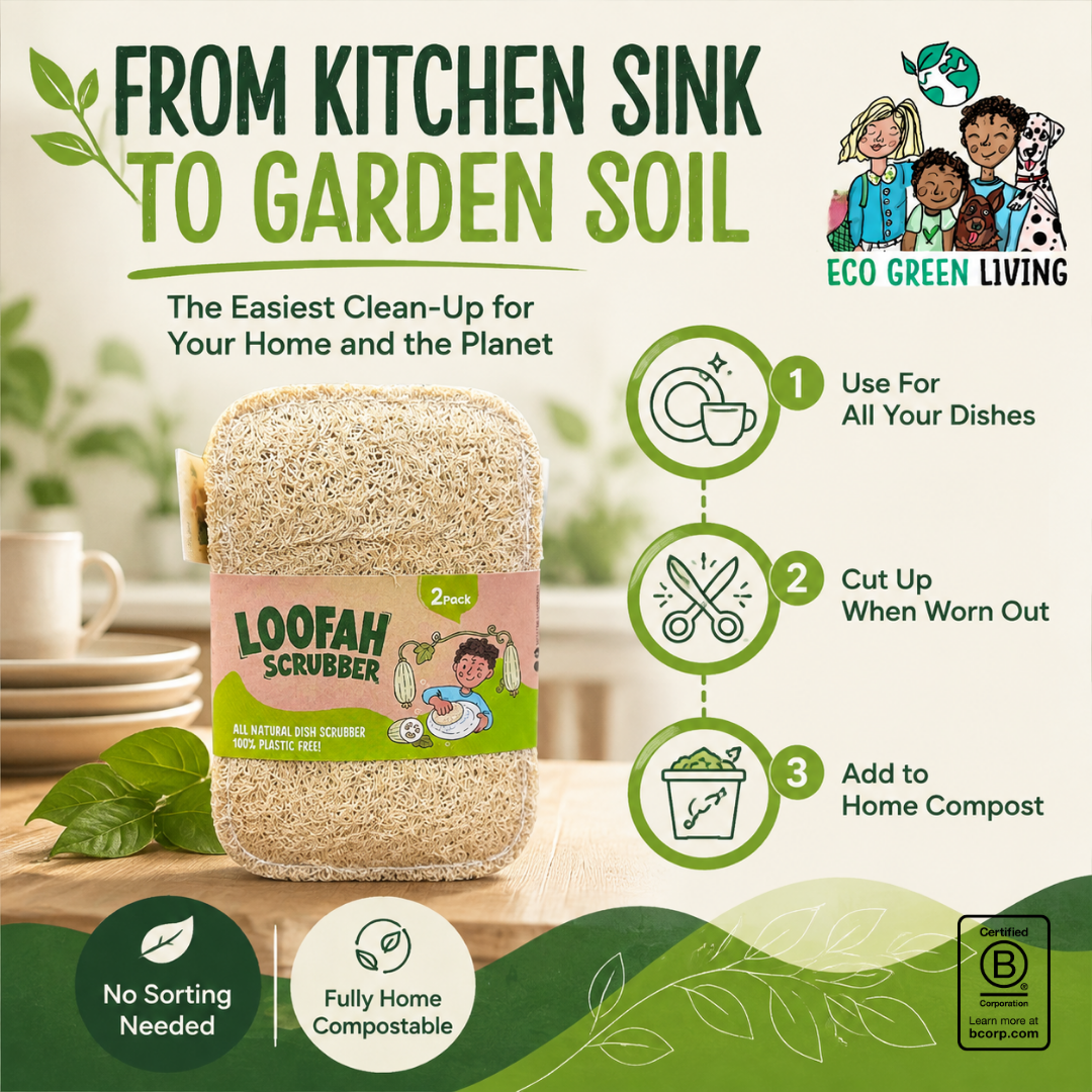 A jar of Loofah Scrubber all-natural dish scrubber shown on a kitchen sink counter with a green infographic explaining how to use it for all dishes, cut it up when worn out, and add to home compost. The brand Eco Green Living is visible in the top right.
