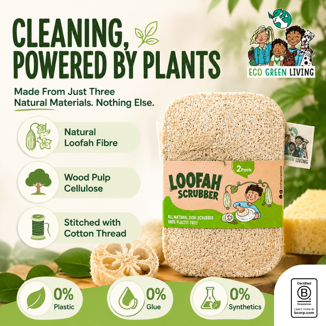 A 2-pack of Eco Green Living natural loofah scrubbers, featuring a large beige natural loofah and a smaller natural loofah with a green and beige paper label. The background is a soft-focus green and white graphic with text highlighting the product's natural ingredients: natural loofah fibre, wood pulp cellulose, and stitched with cotton thread.