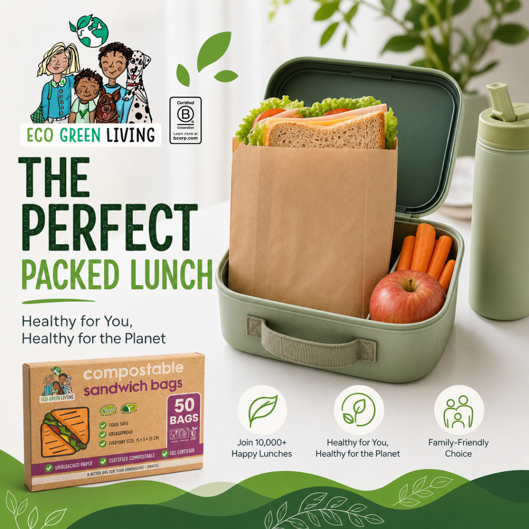 Eco Green Living compostable sandwich bags shown in a promotional lifestyle-style graphic with a lunchbox, sandwich, water bottle, and product box on a clean white background with decorative green graphics.