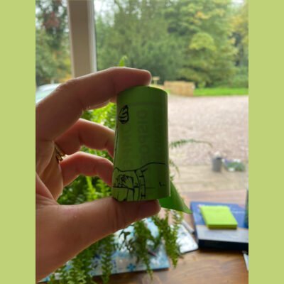 Compostable Dog Waste Bags | 1 Pack - 60 Large Bags - EcoGreenBusiness