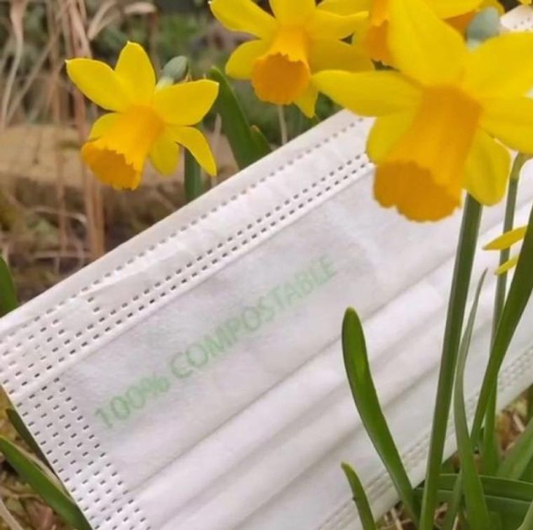Compostable Face Mask | 25 Eco-Friendly Face Masks - EcoGreenBusiness
